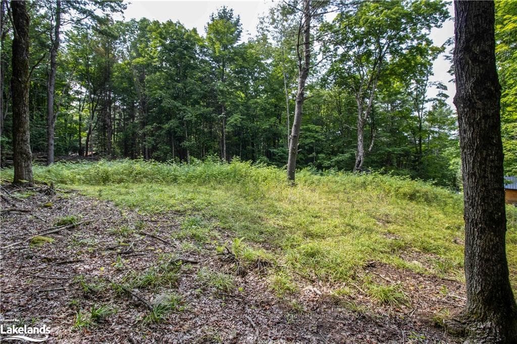 1038 NORTH Drive photo 25