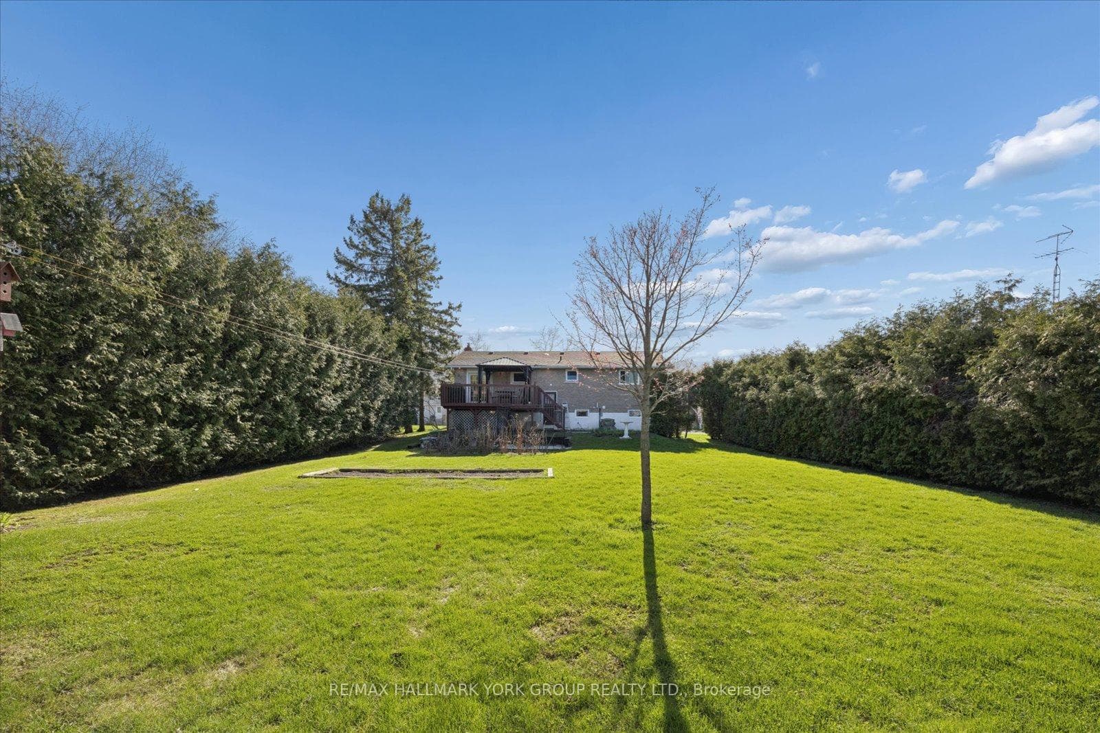61 Adelaide Street photo 35