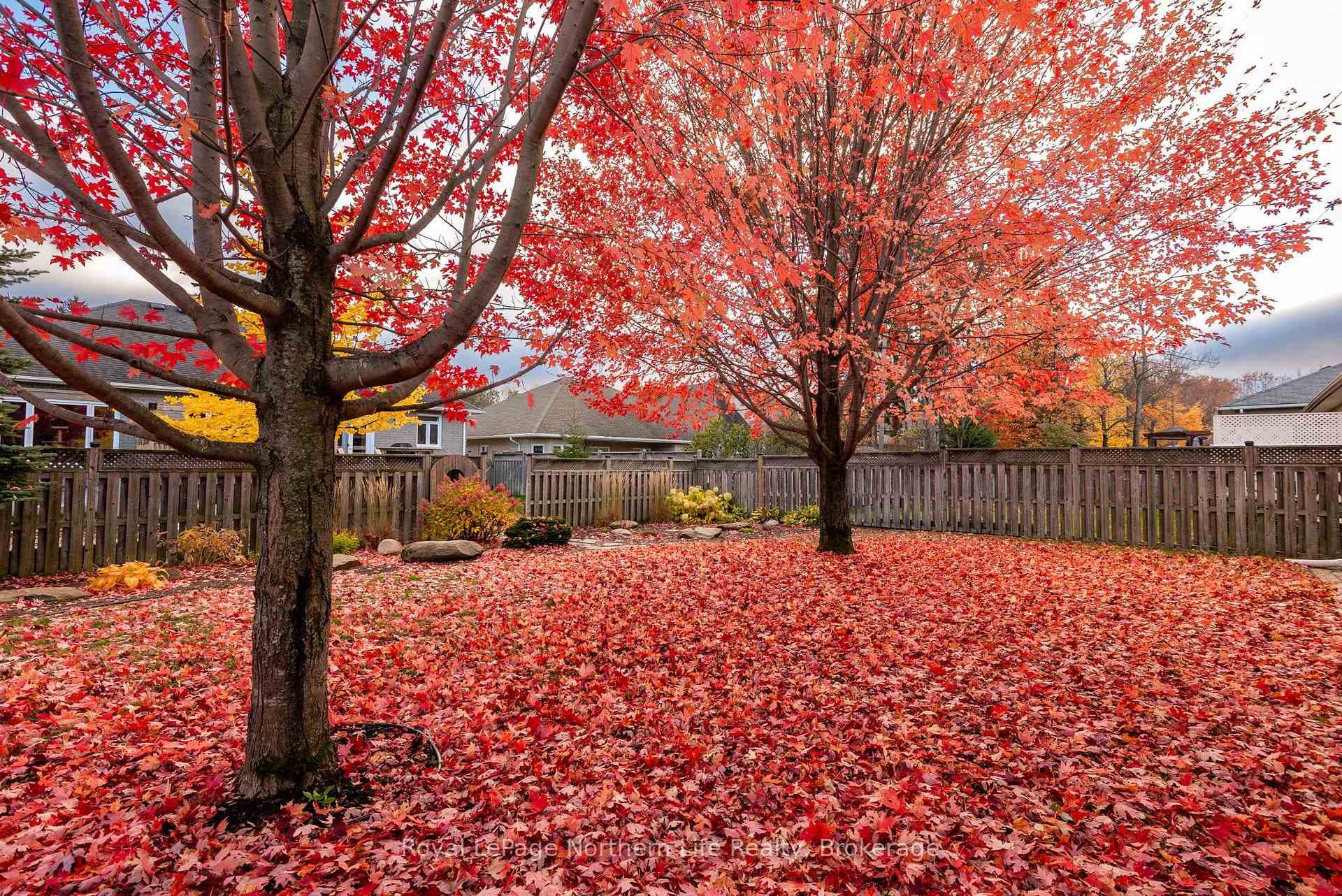 27 Vermont Crescent photo 46
