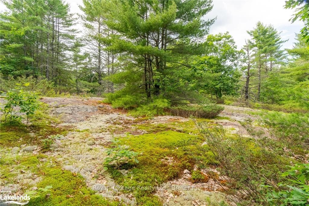 1186 SAM COOK Road photo 32