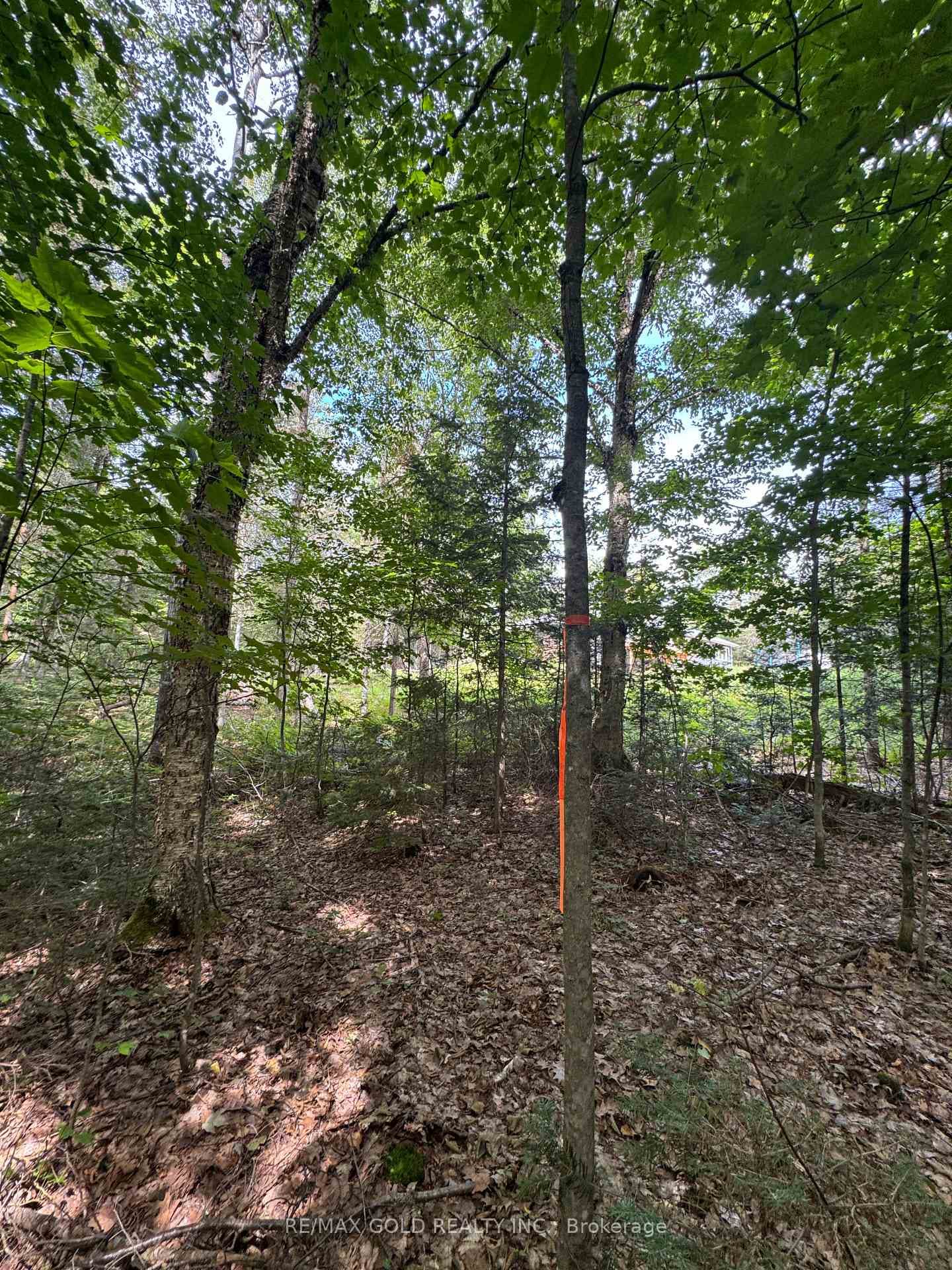 1791 Alsace Road photo 2