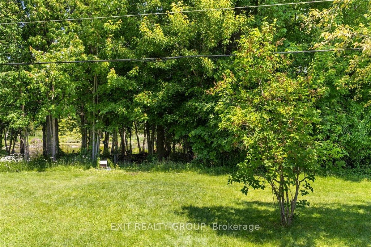 40 Linden Boulevard photo 33