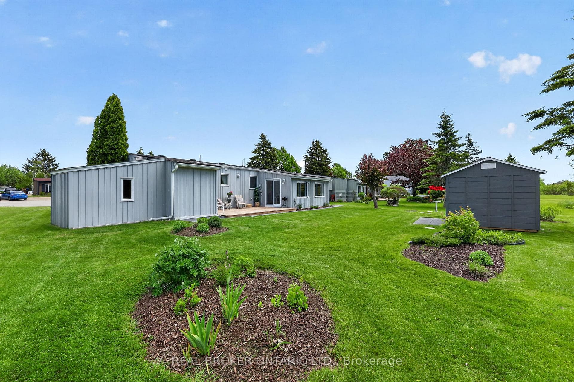 Back Yard- shows attached shed and rear garden she