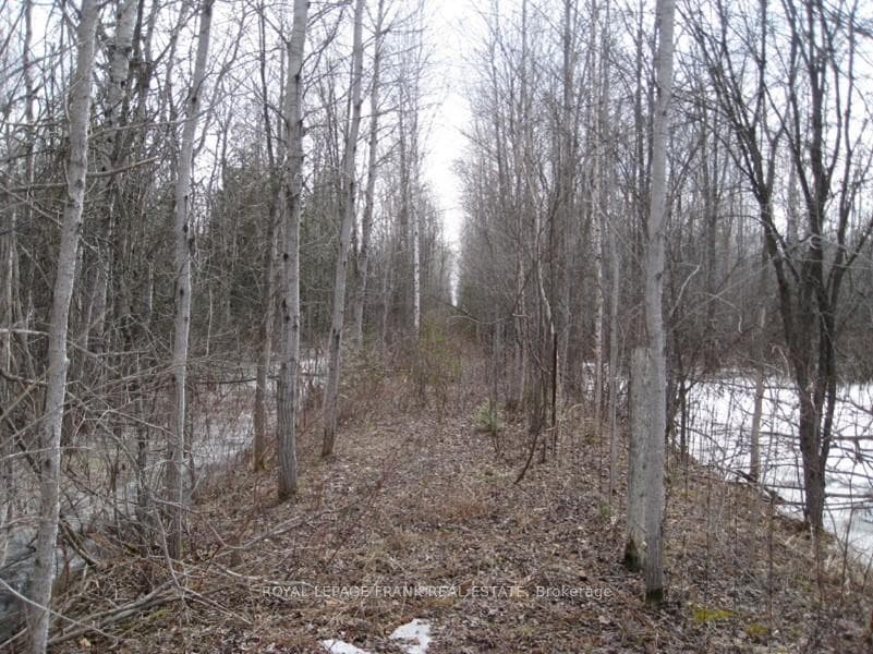 0 Mervin Line photo 2