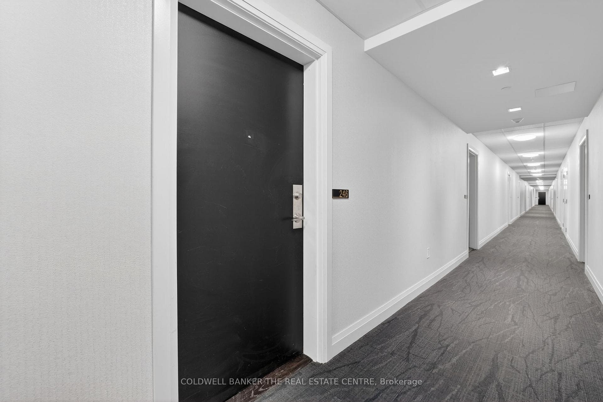 555 William Graham Drive Unit 246 photo 6