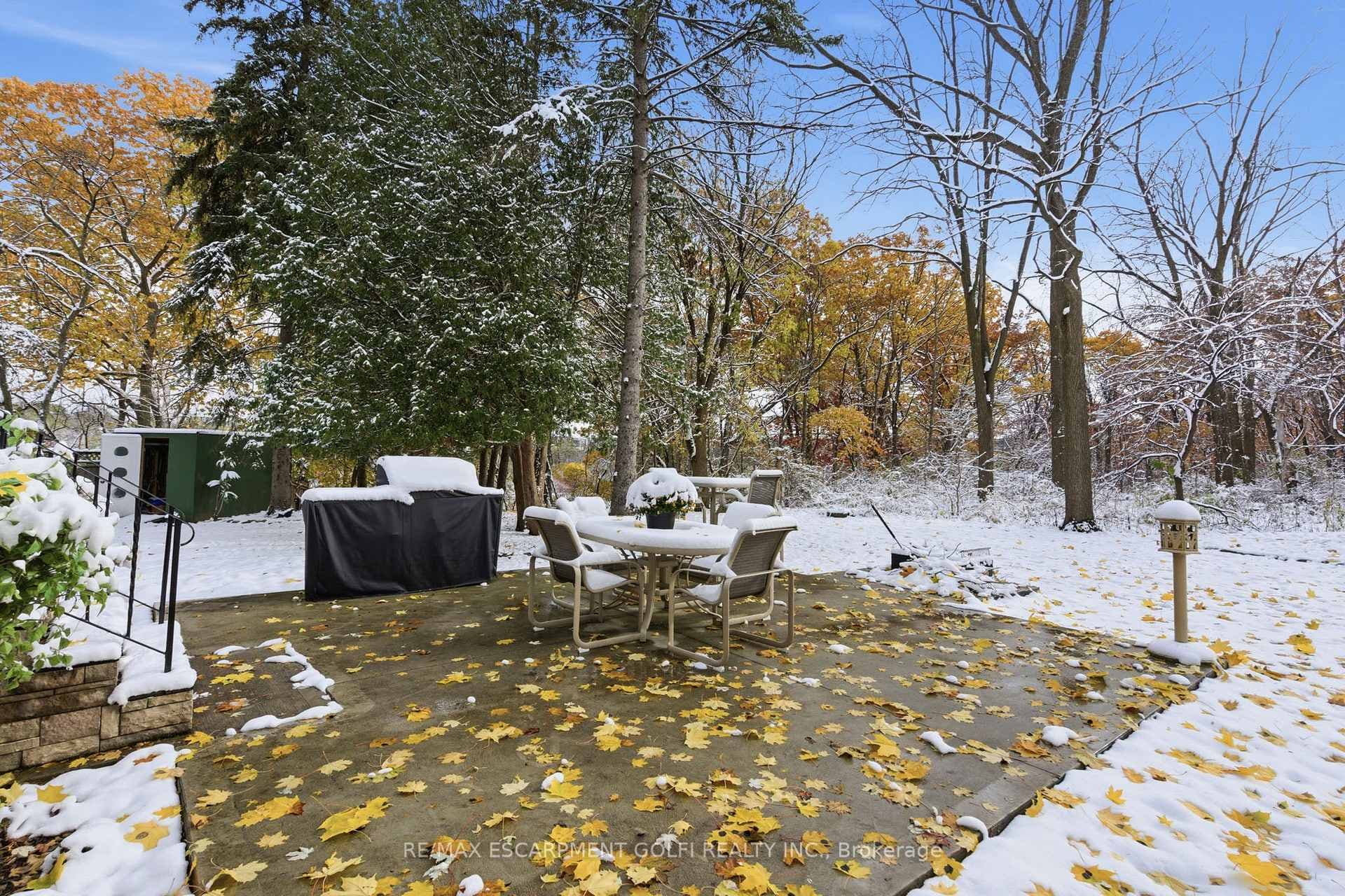 16 Freeland Court photo 35