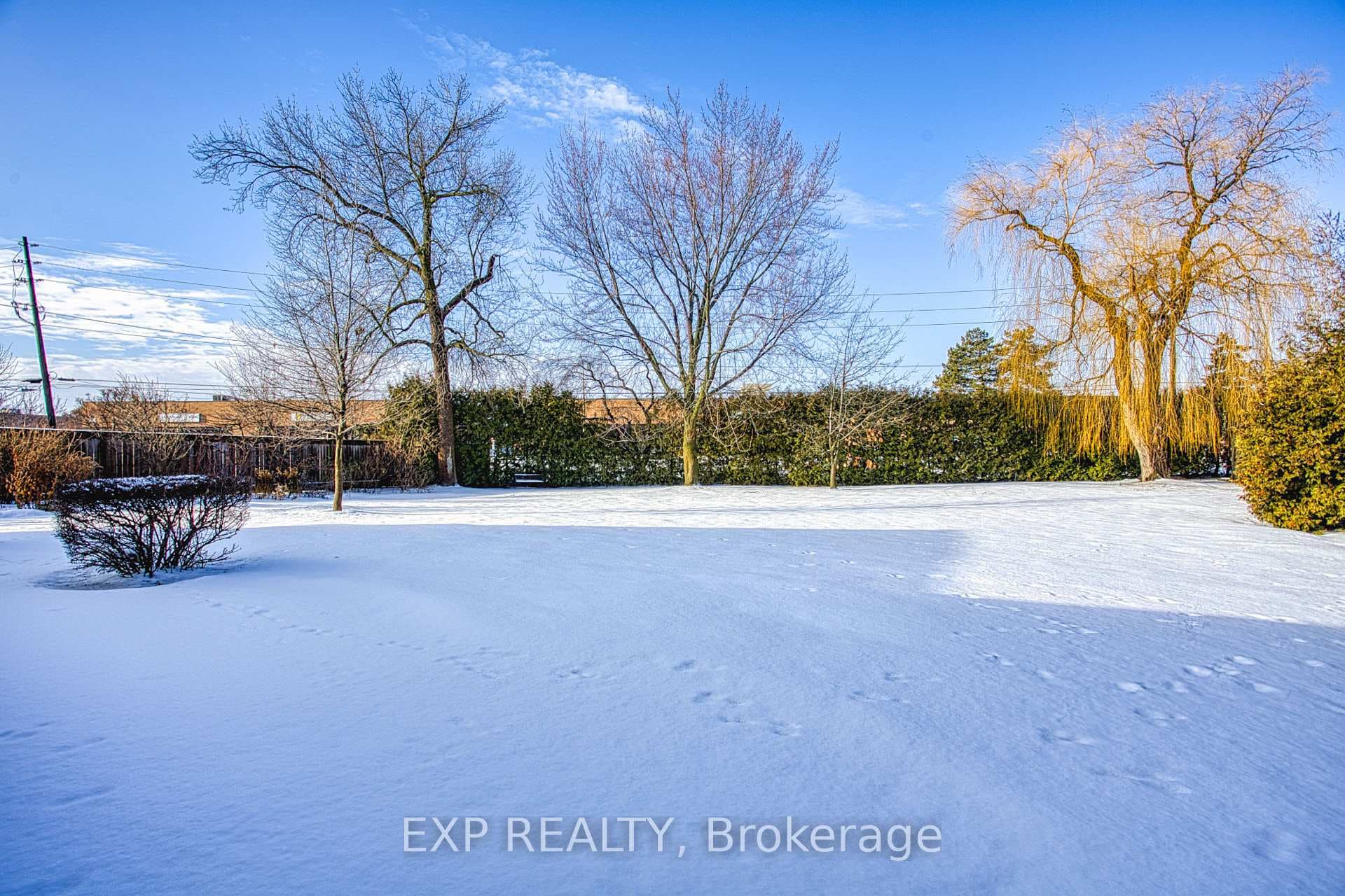 99 Swanhurst Boulevard photo 39