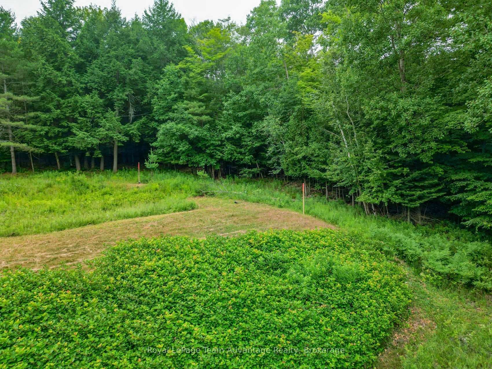 Already Installed Septic
