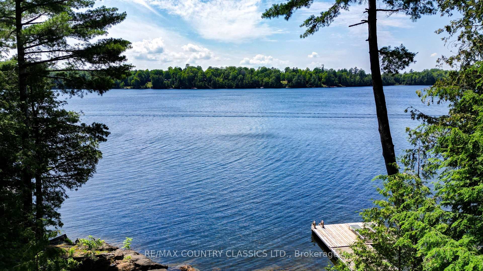 342 Jennison Road photo 14