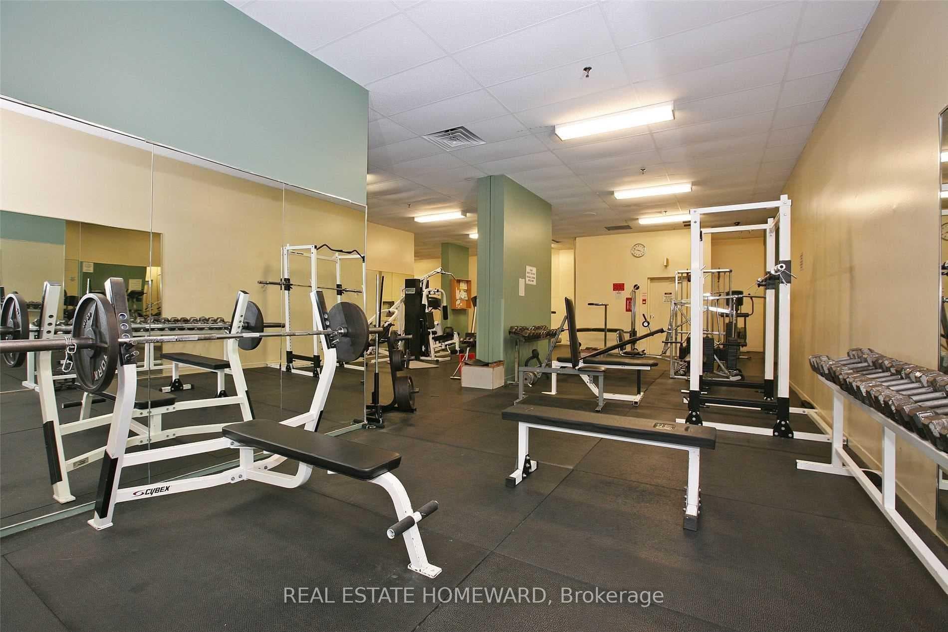 Cardio and fee weights