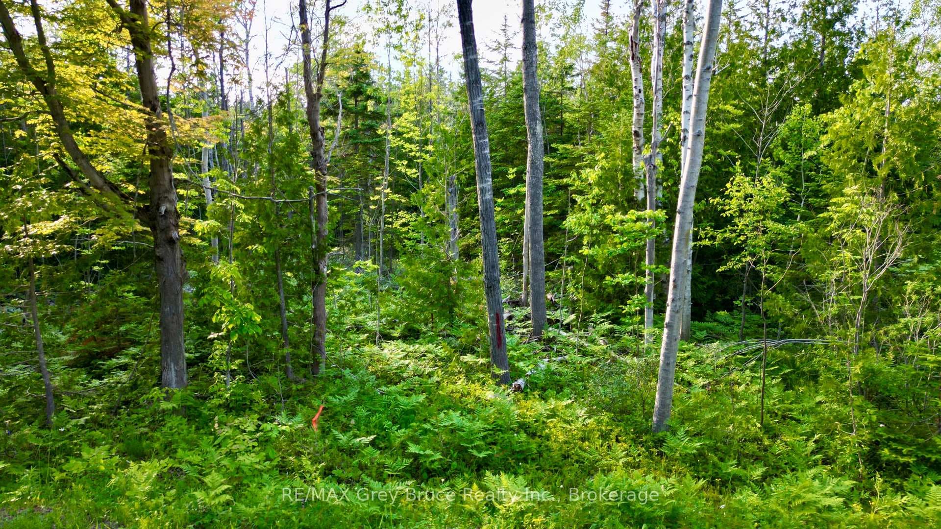 PT LT 27 CON 1 EBR PT 2 Barney's Boulevard photo 29