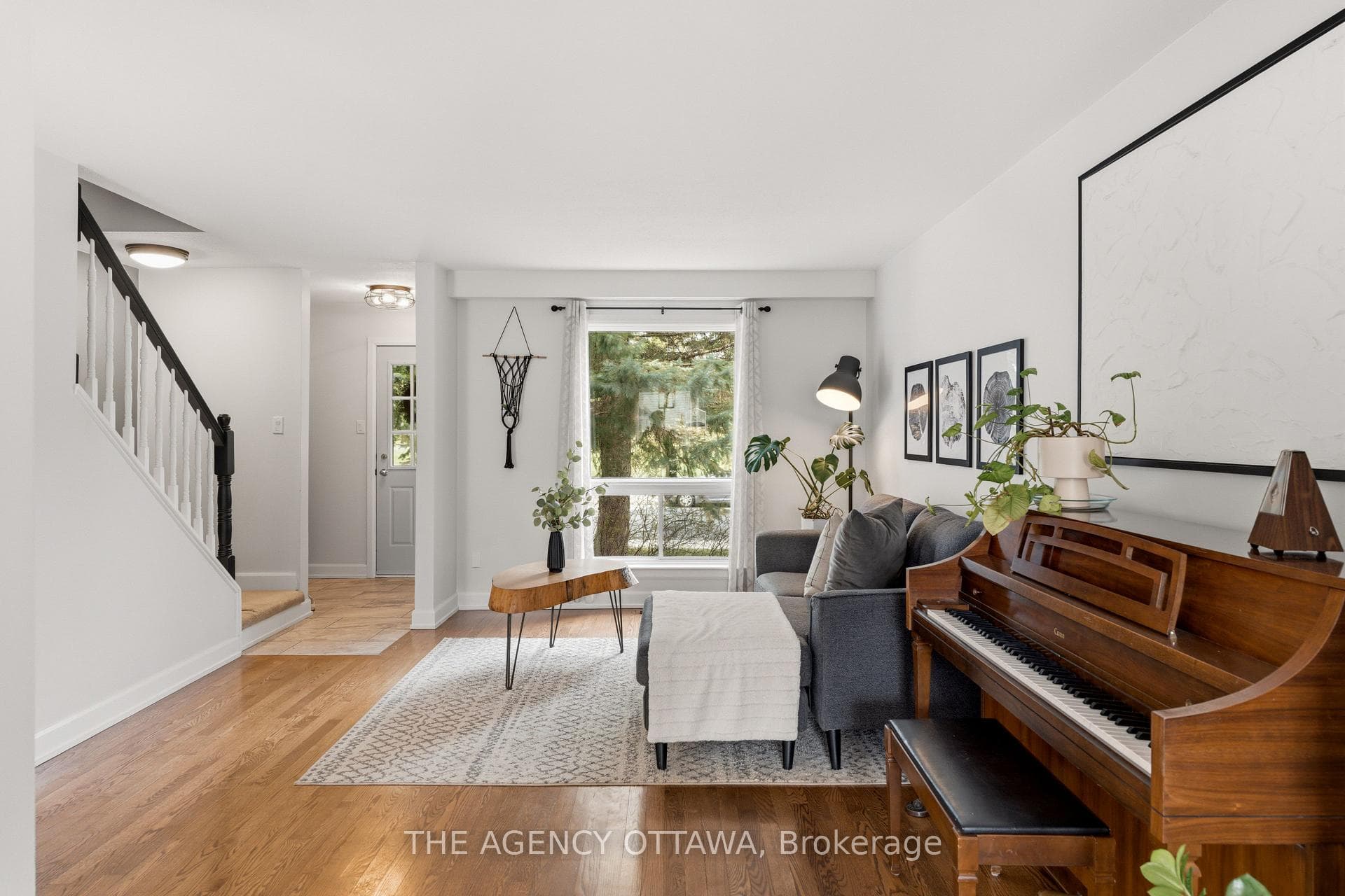 Living Room With Lots of Natural Light
