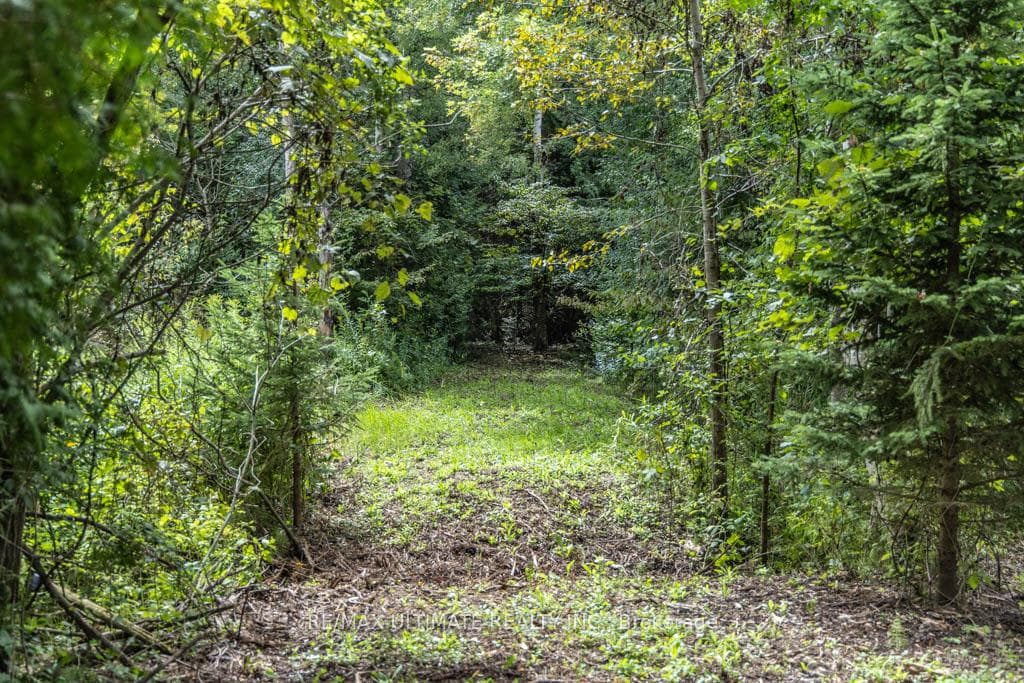 1810 Harper Road photo 31