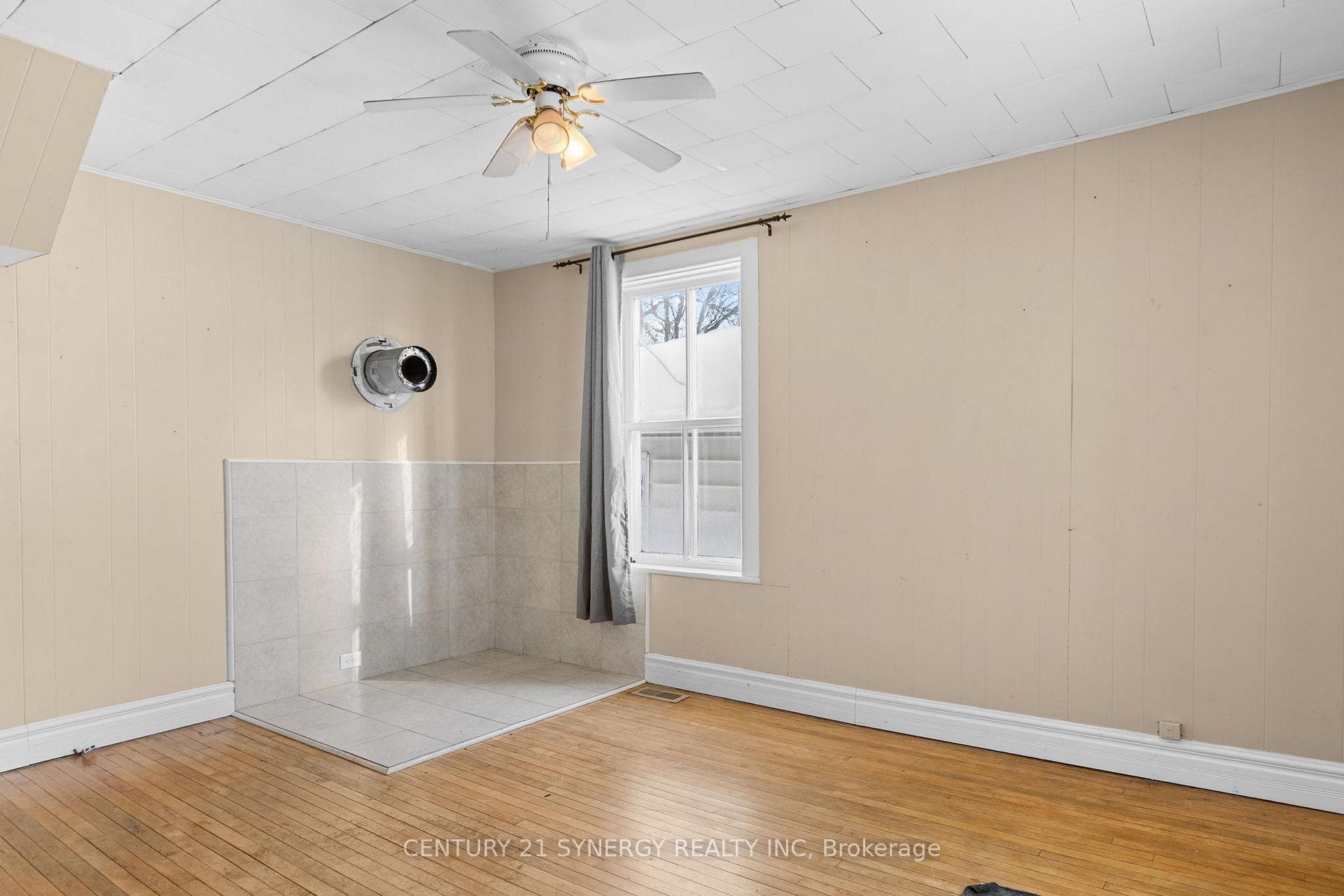 253 Alicia Street photo 6