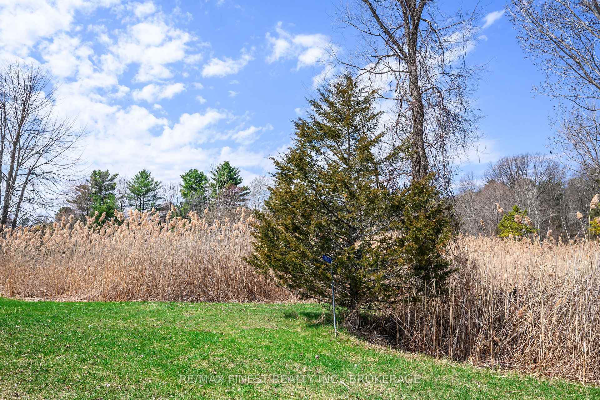 1168 Thousand Island Parkway photo 3