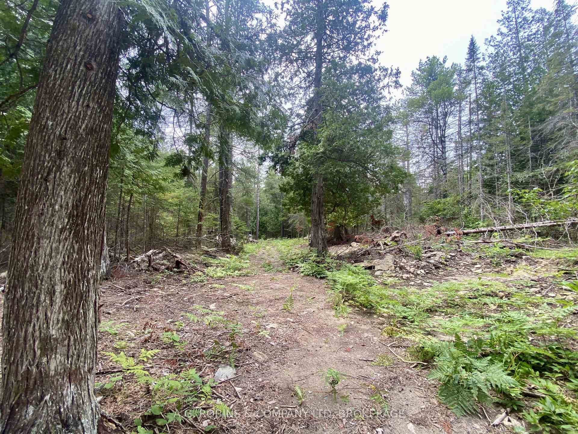 262 Johnsons Harbour Road photo 17