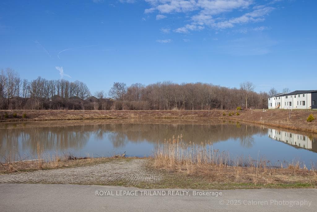 2901 Heardcreek Trail photo 4