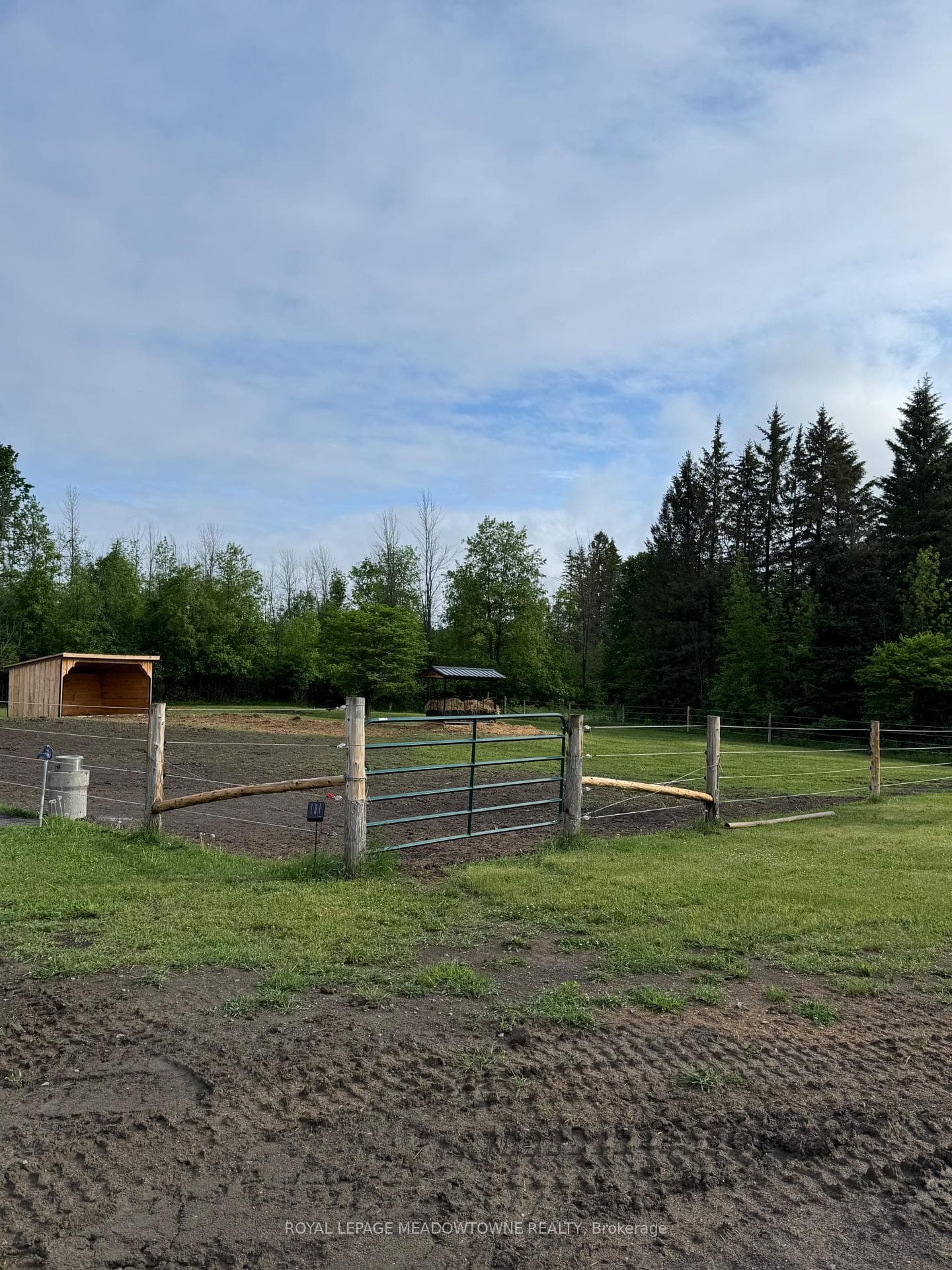 Paddock with Shelter