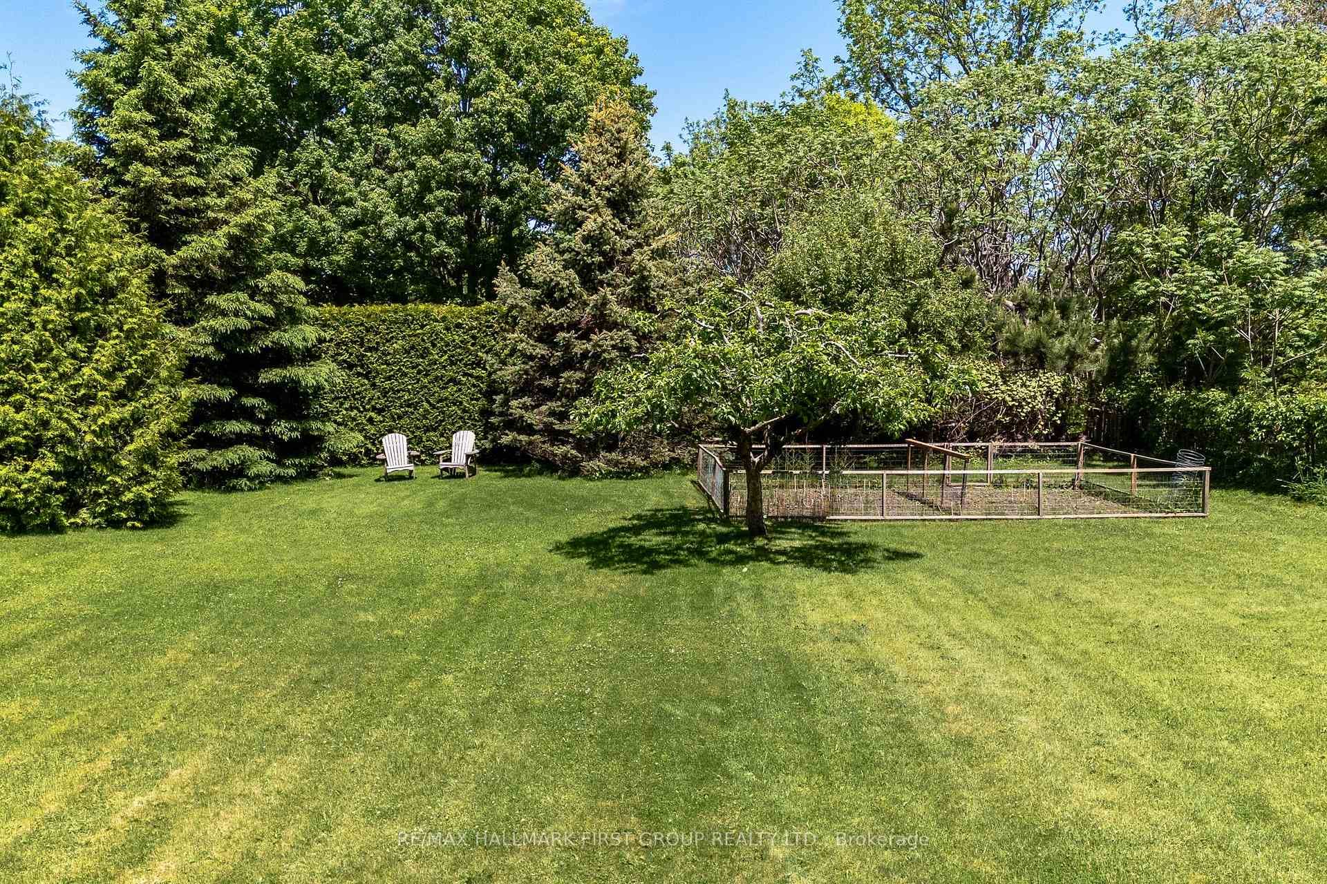 fruit trees, veggie garden