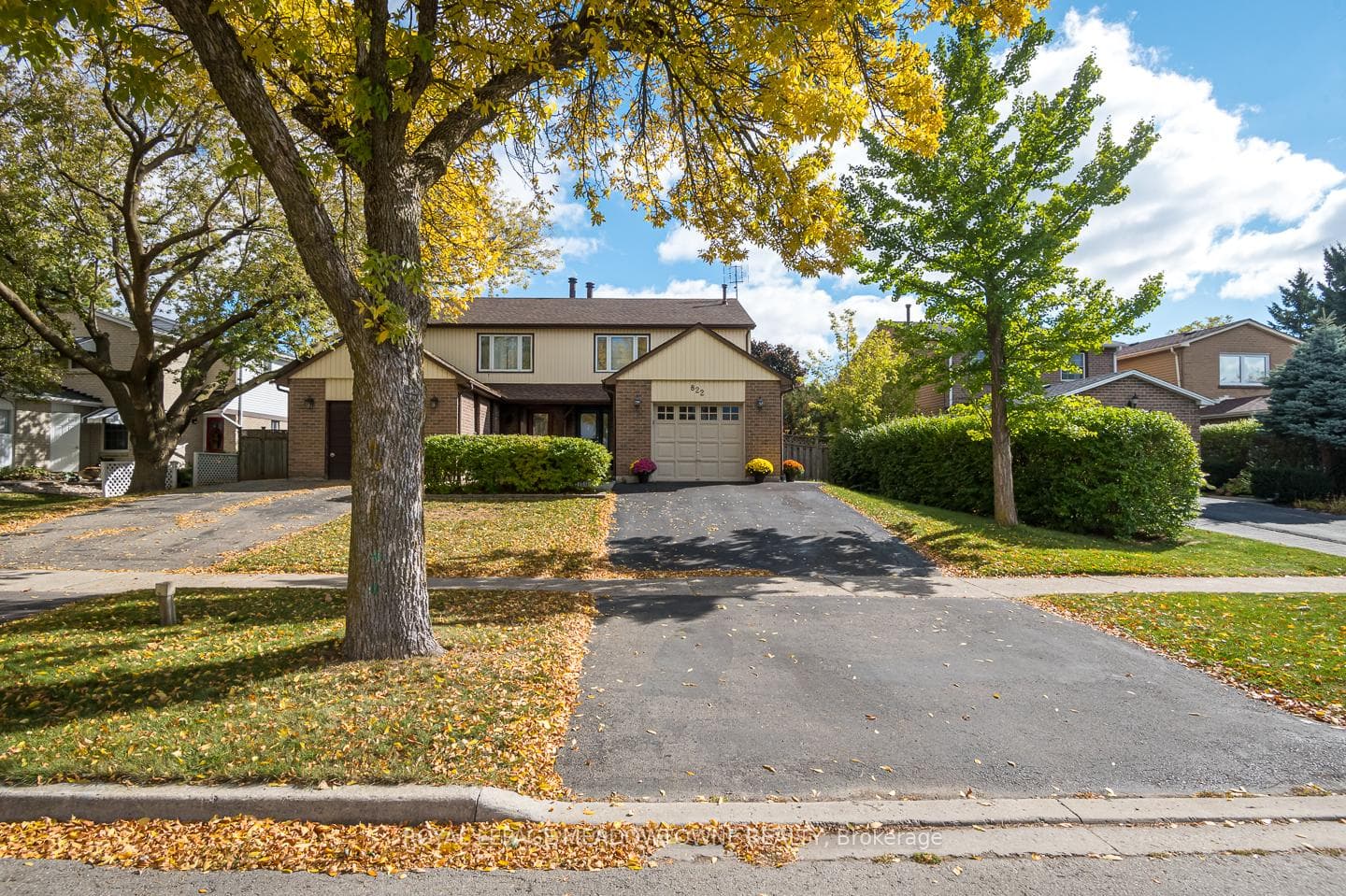 Extra long driveway