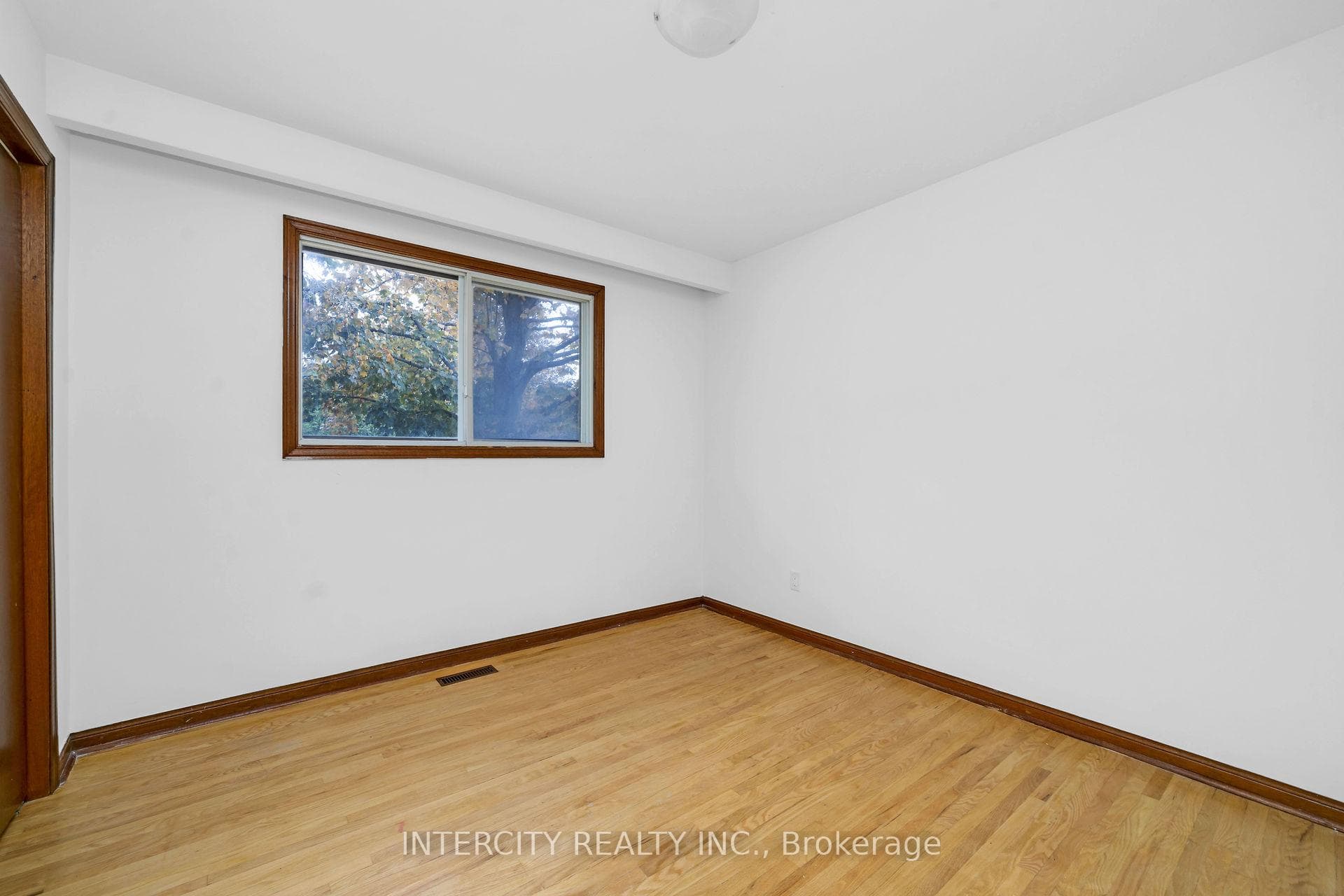 19 Patricia Drive photo 20