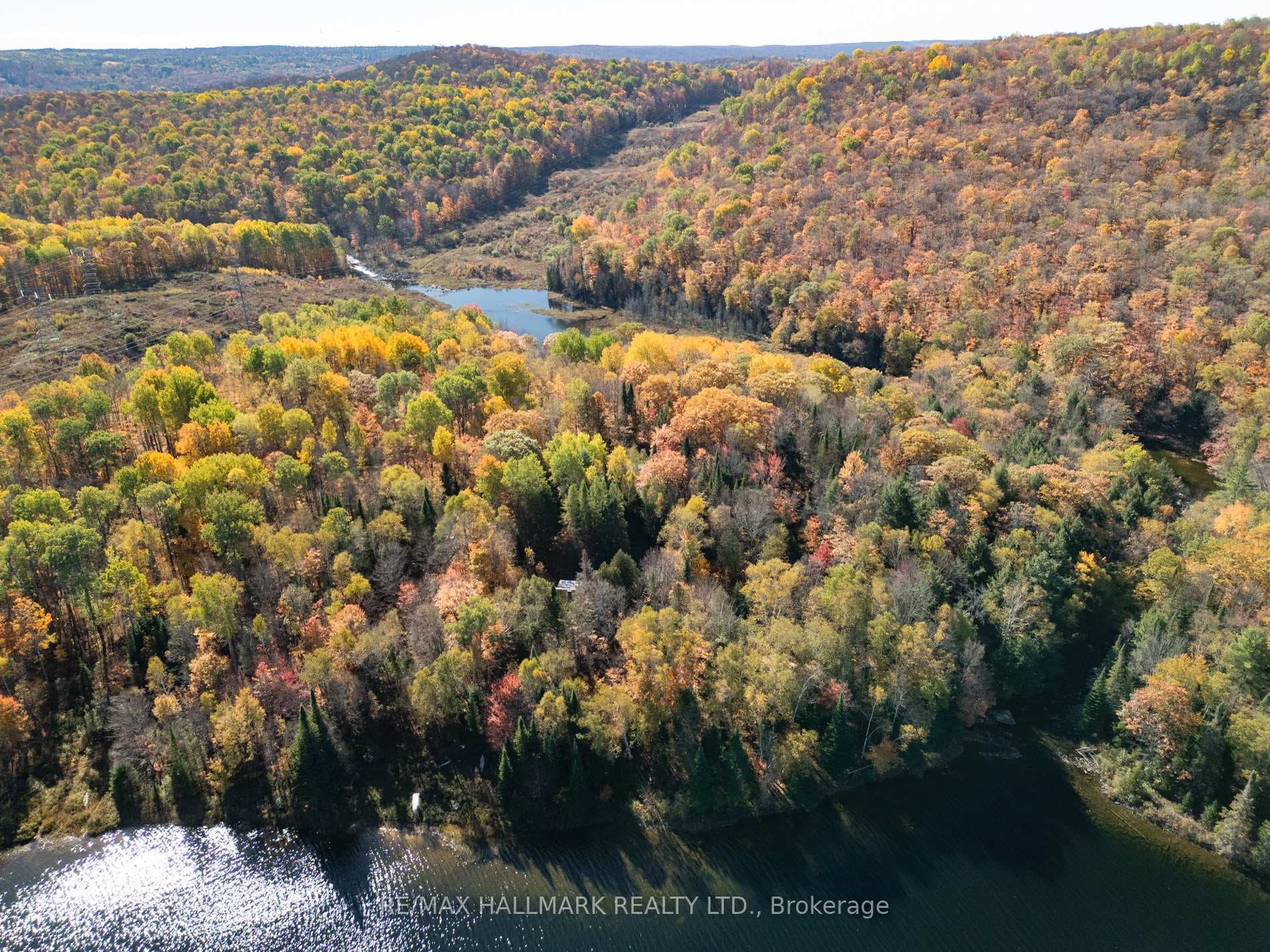 3517 Haliburton Lake Road photo 4