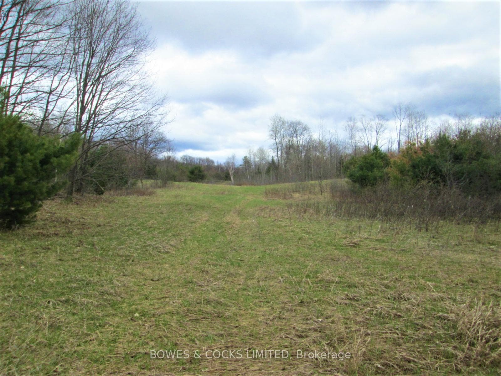114 Moore Lane photo 35