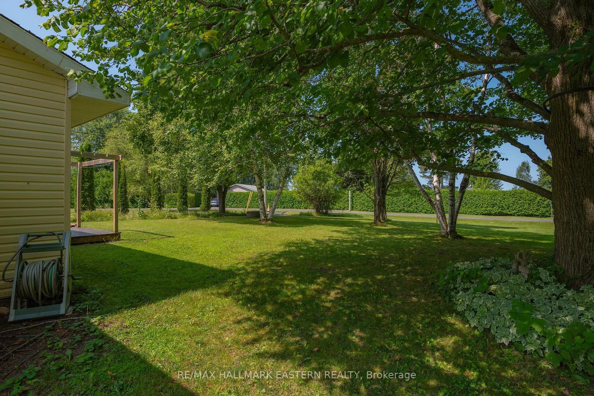 19 Eldonia Road photo 33