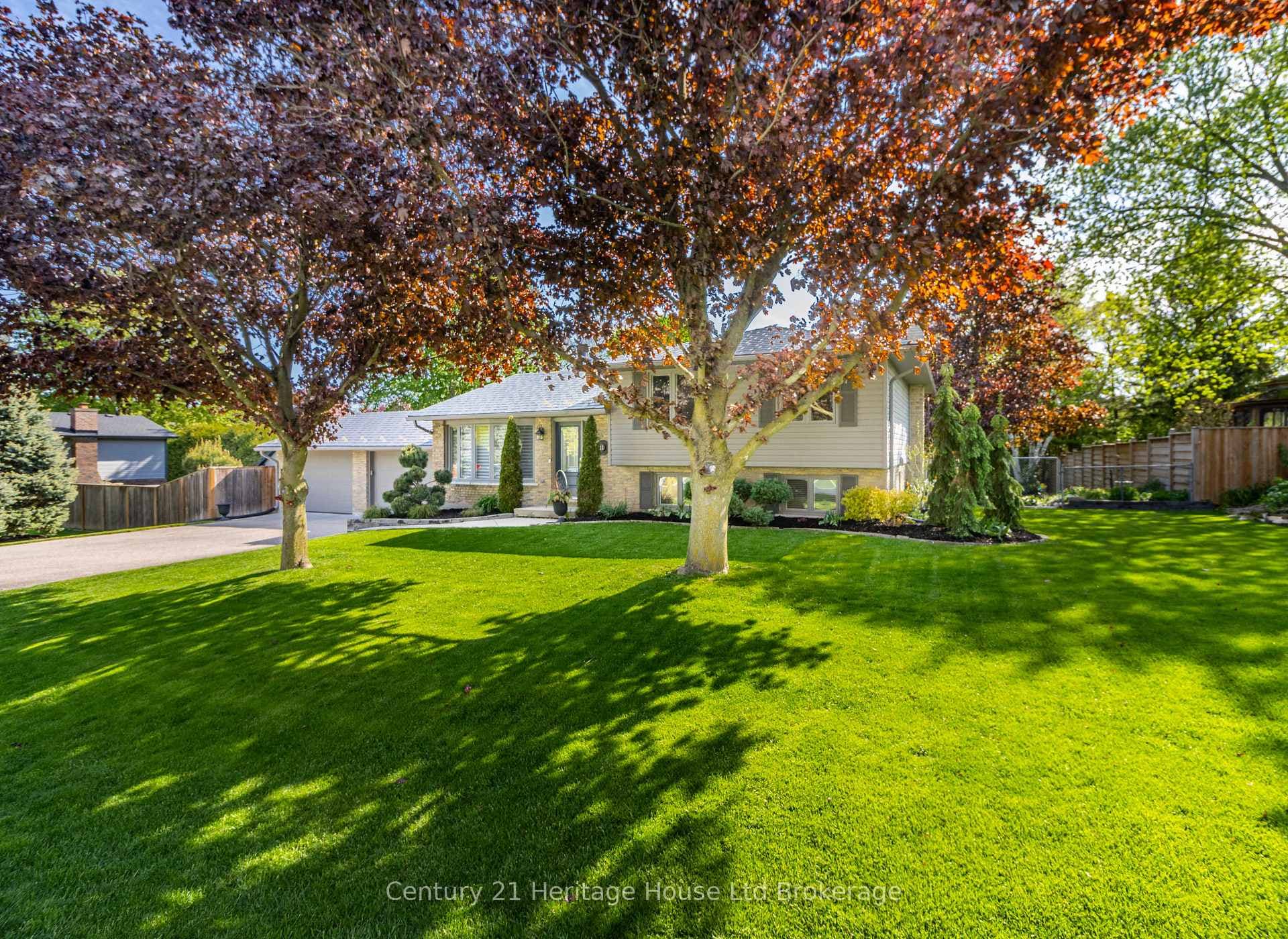 11 Millard Street photo 6