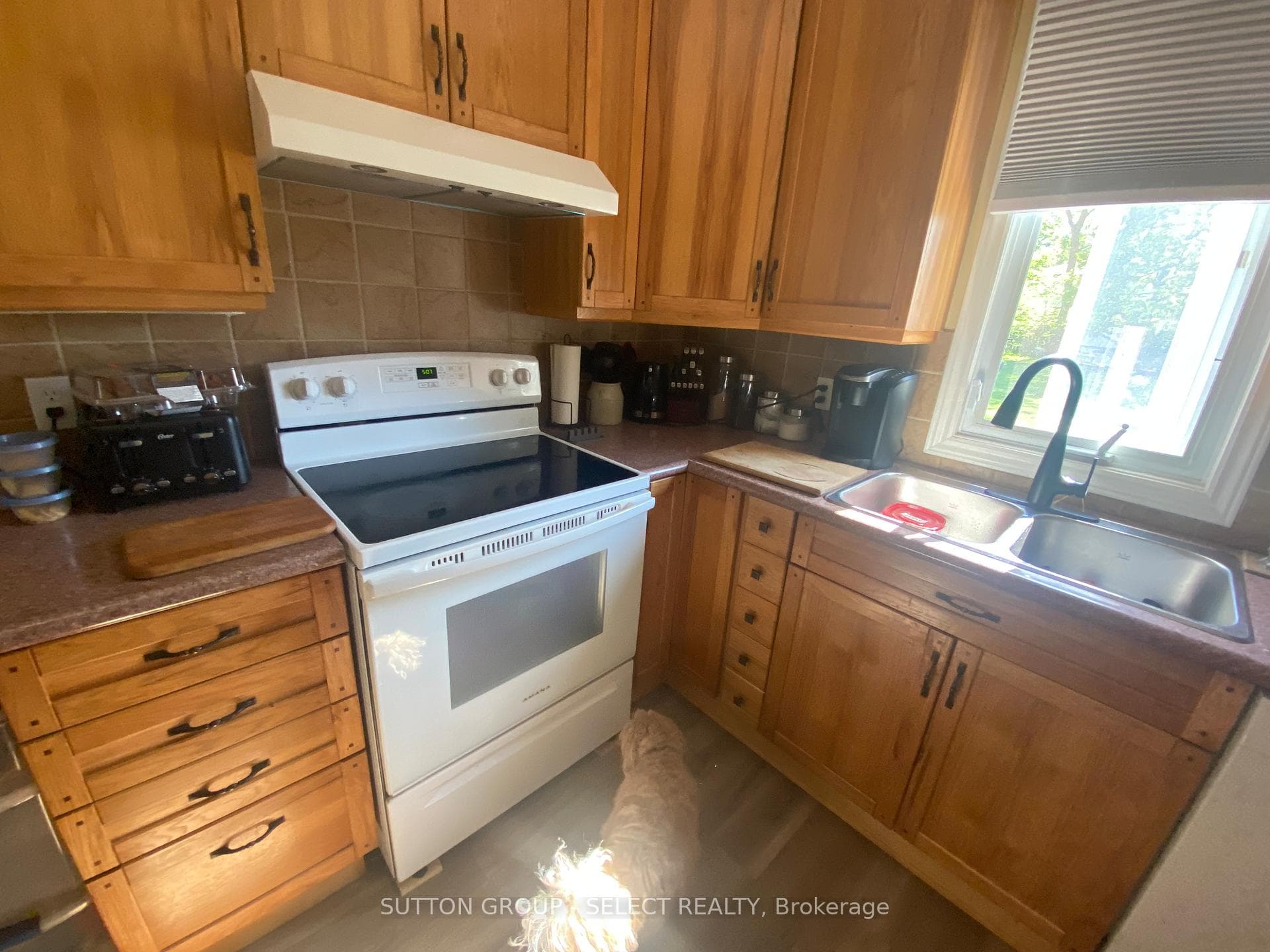 Kitchen with back yard view