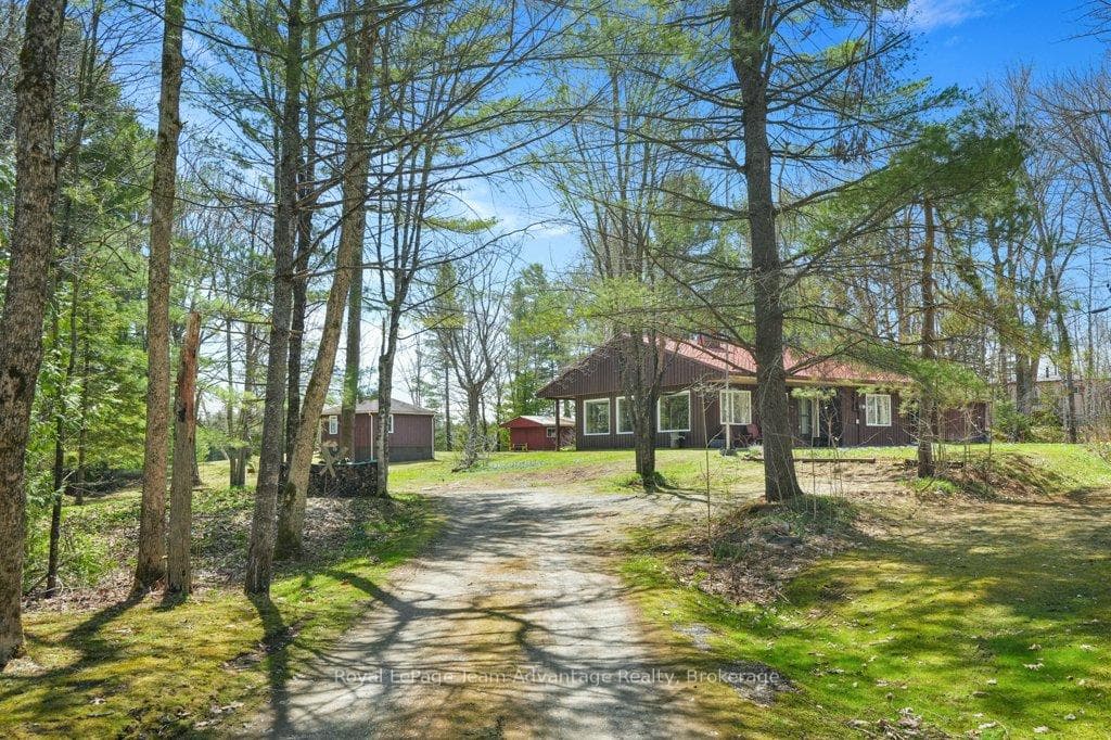 Driveway in
