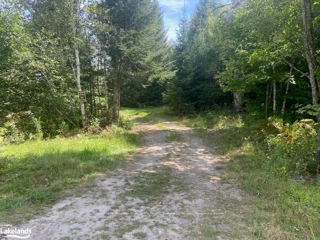 573 MUSKOKA Road photo 40