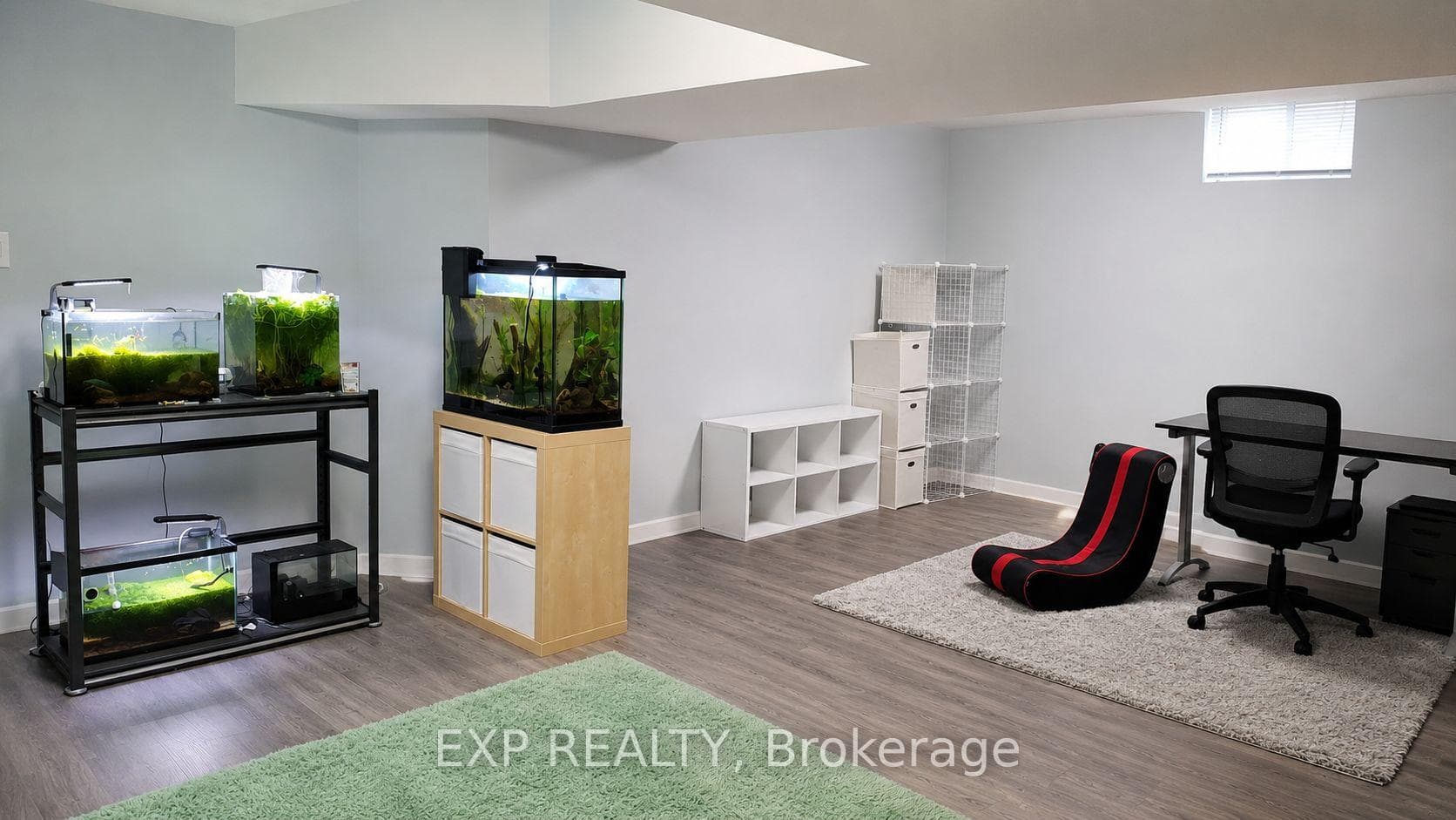 Basement Rec Room