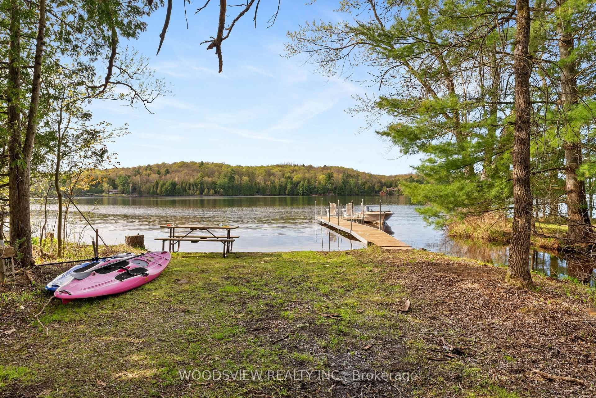 1275 Kashagawigamog Lake Road photo 3