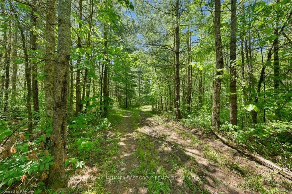 LOT 0 COUNTY ROAD 27 N/A photo 23
