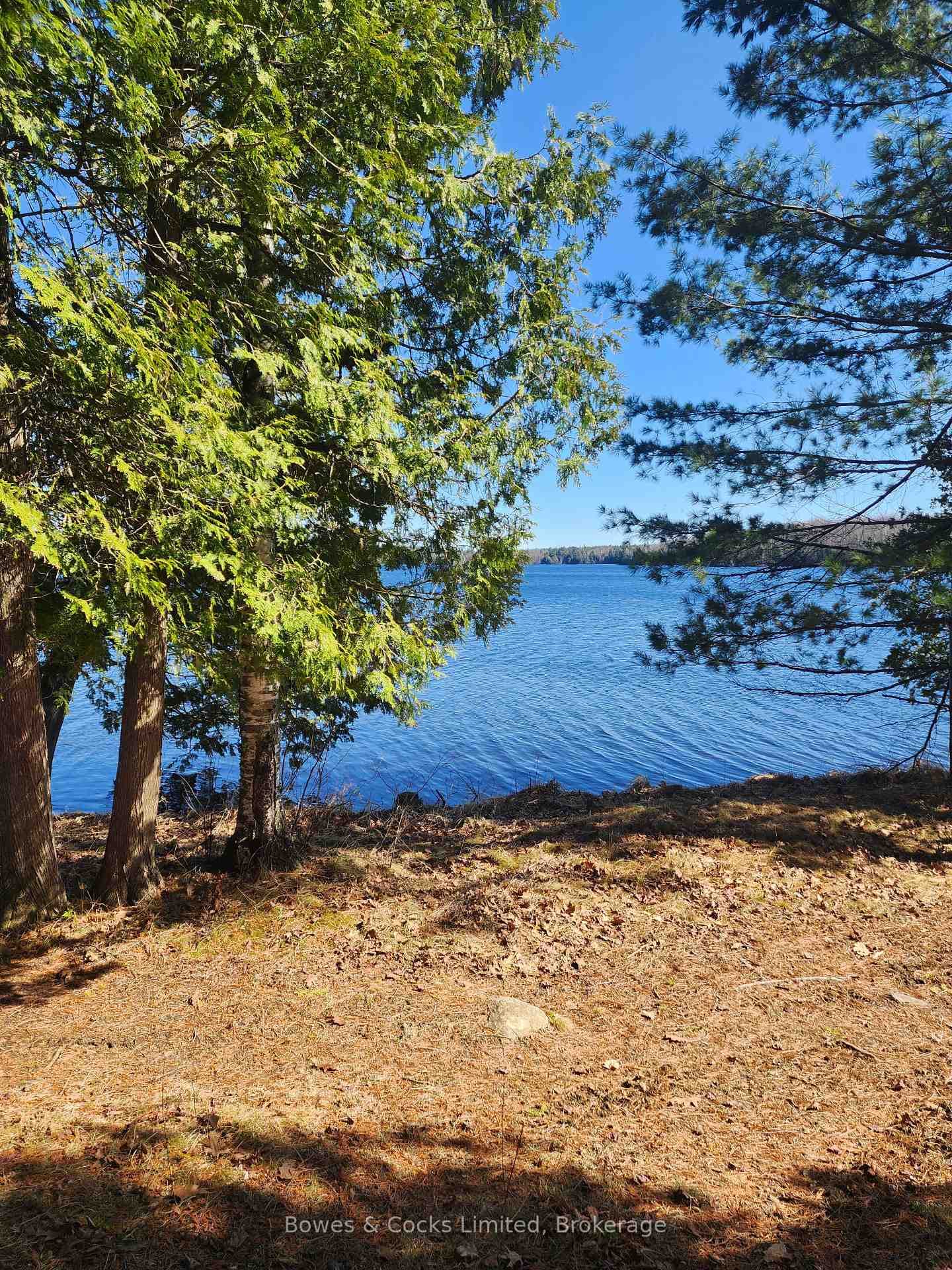 42 Clear Lake Court photo 9