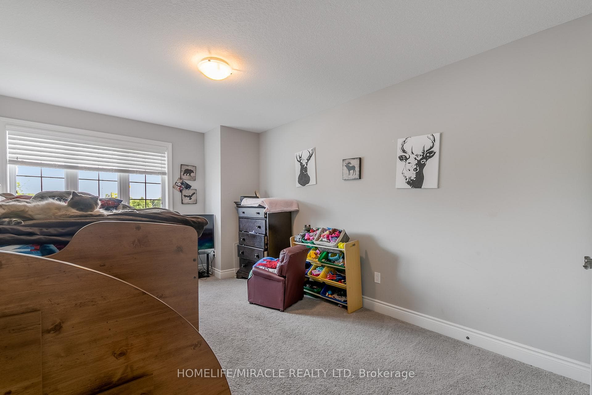 3 Jeffrey Drive photo 20