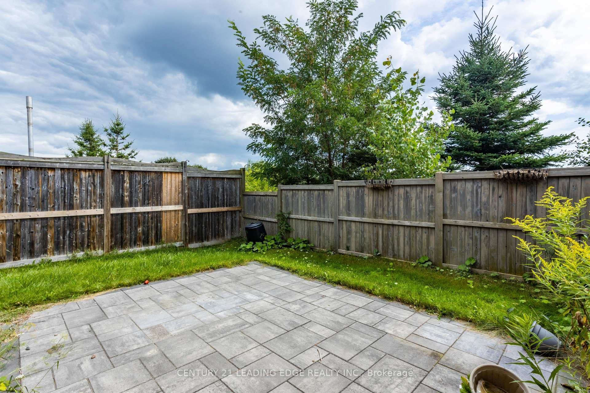 1824 Liatris Drive photo 37