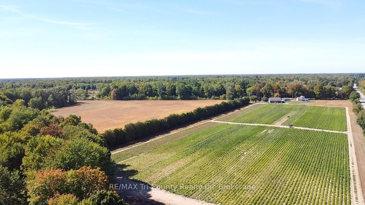 1225 1st Concession ENR Road photo 6