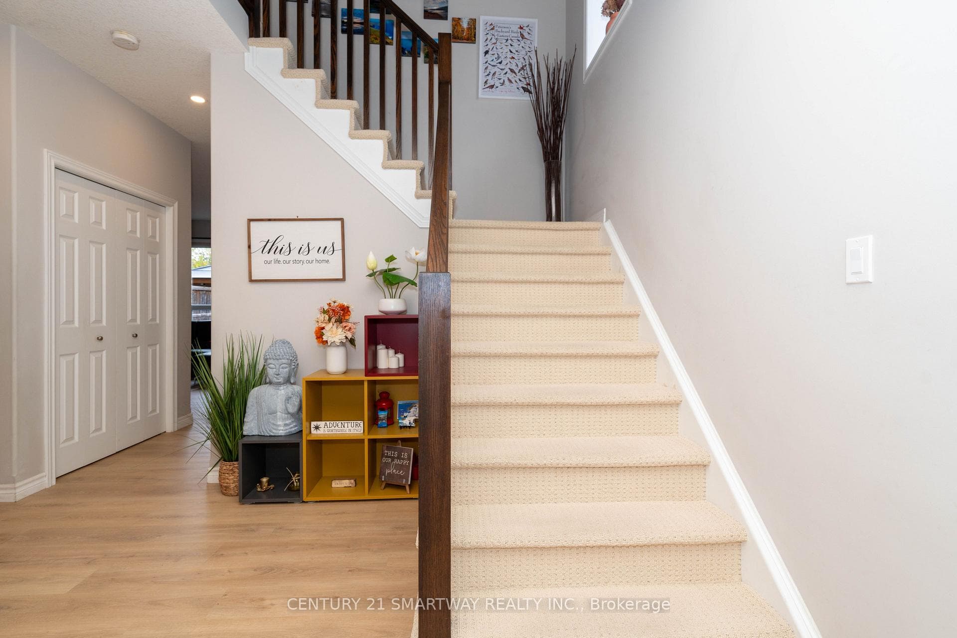 9 Hebert Street photo 6