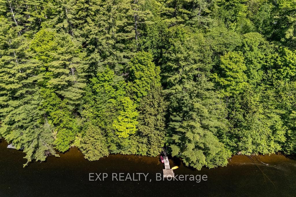 2205 Calabogie Road photo 41