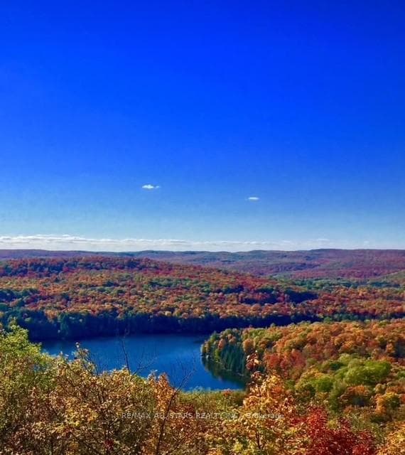 Lake in the fall