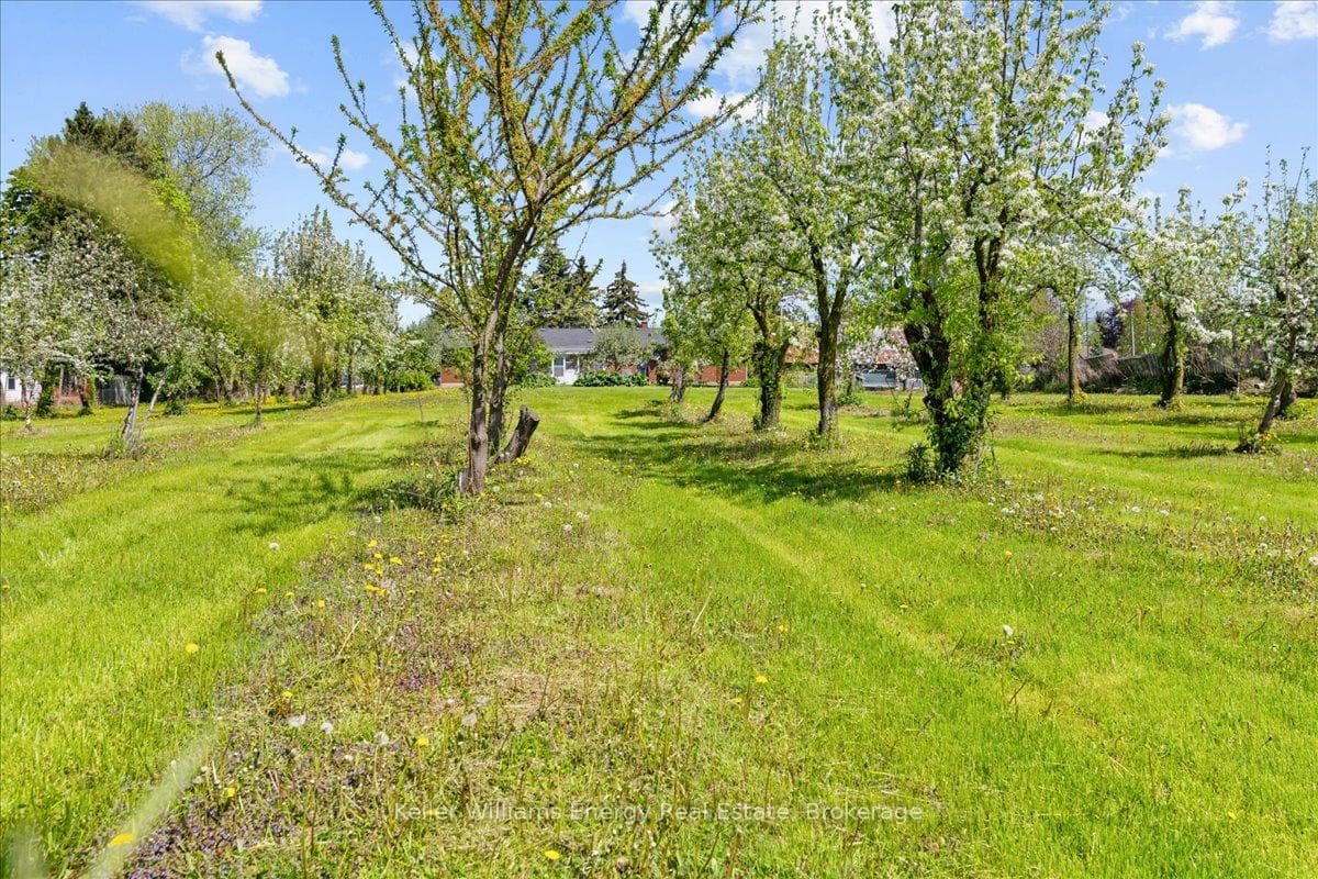 2263 Hwy 2 N/A photo 32