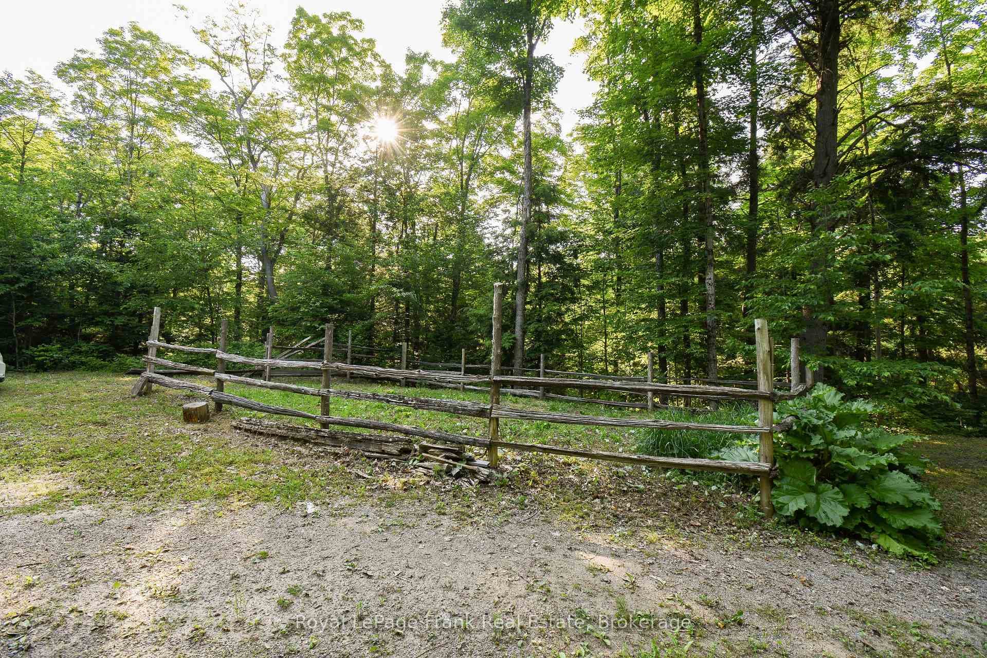 Veggie Garden spot at cabin
