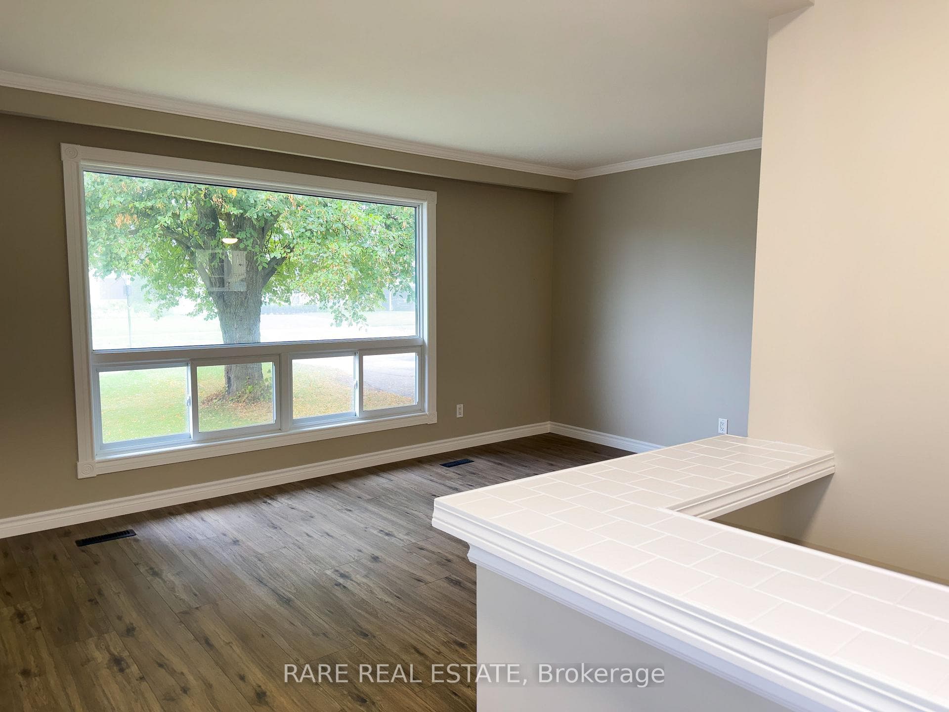 75A Dawson Road photo 3