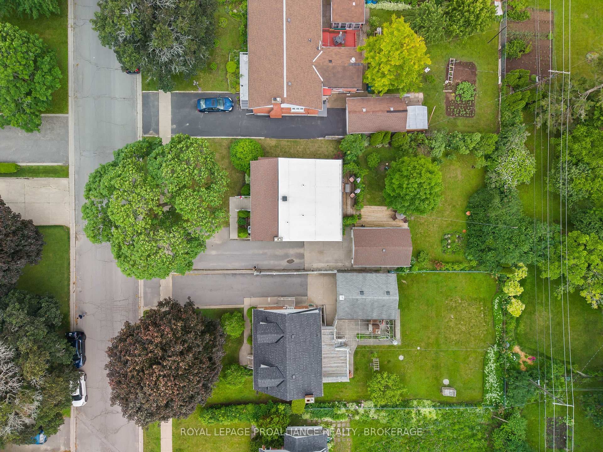 12 Westmoreland Road photo 46