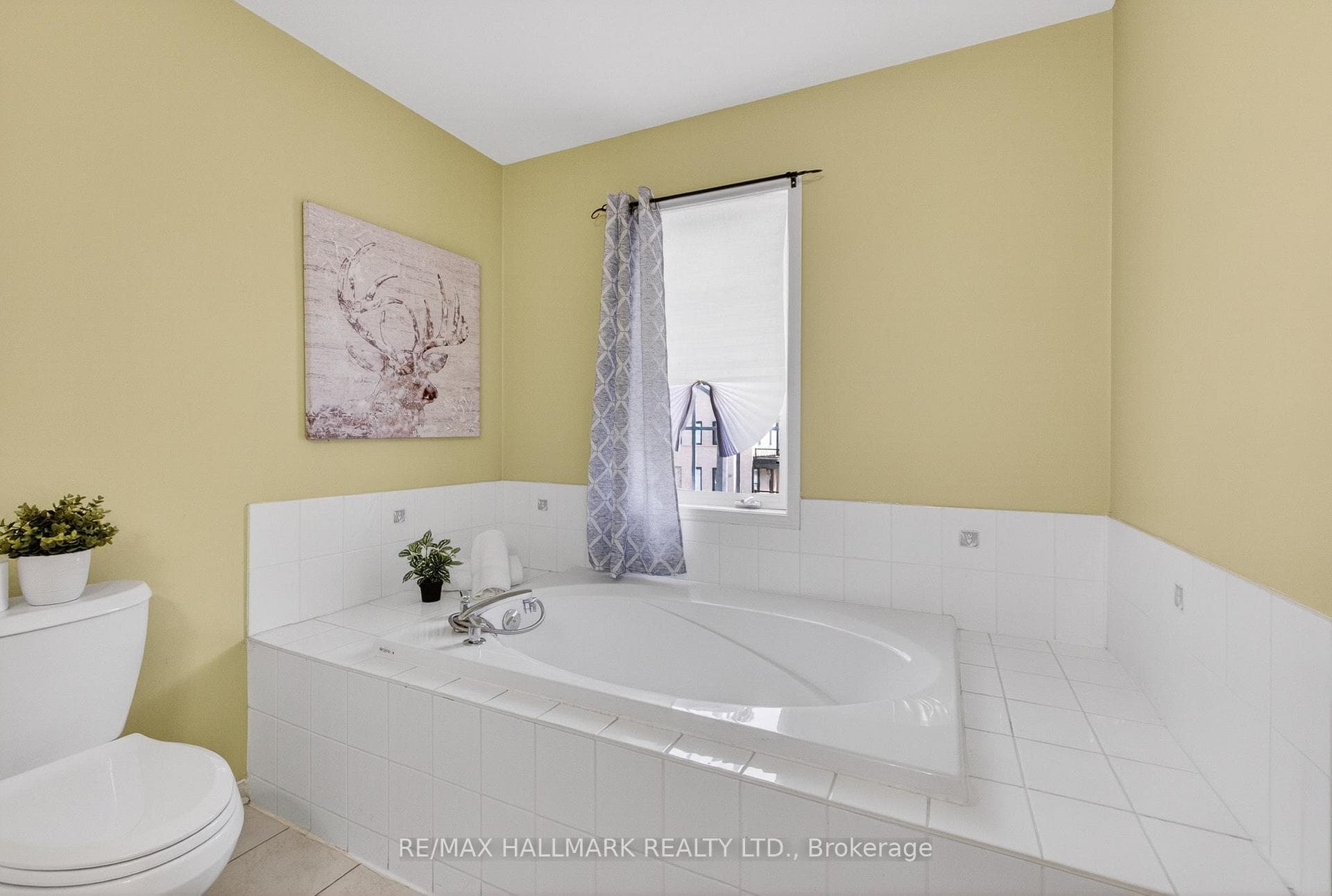626 Napa Valley Avenue photo 28