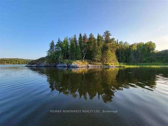 1319 LAURENSON LAKE photo 1