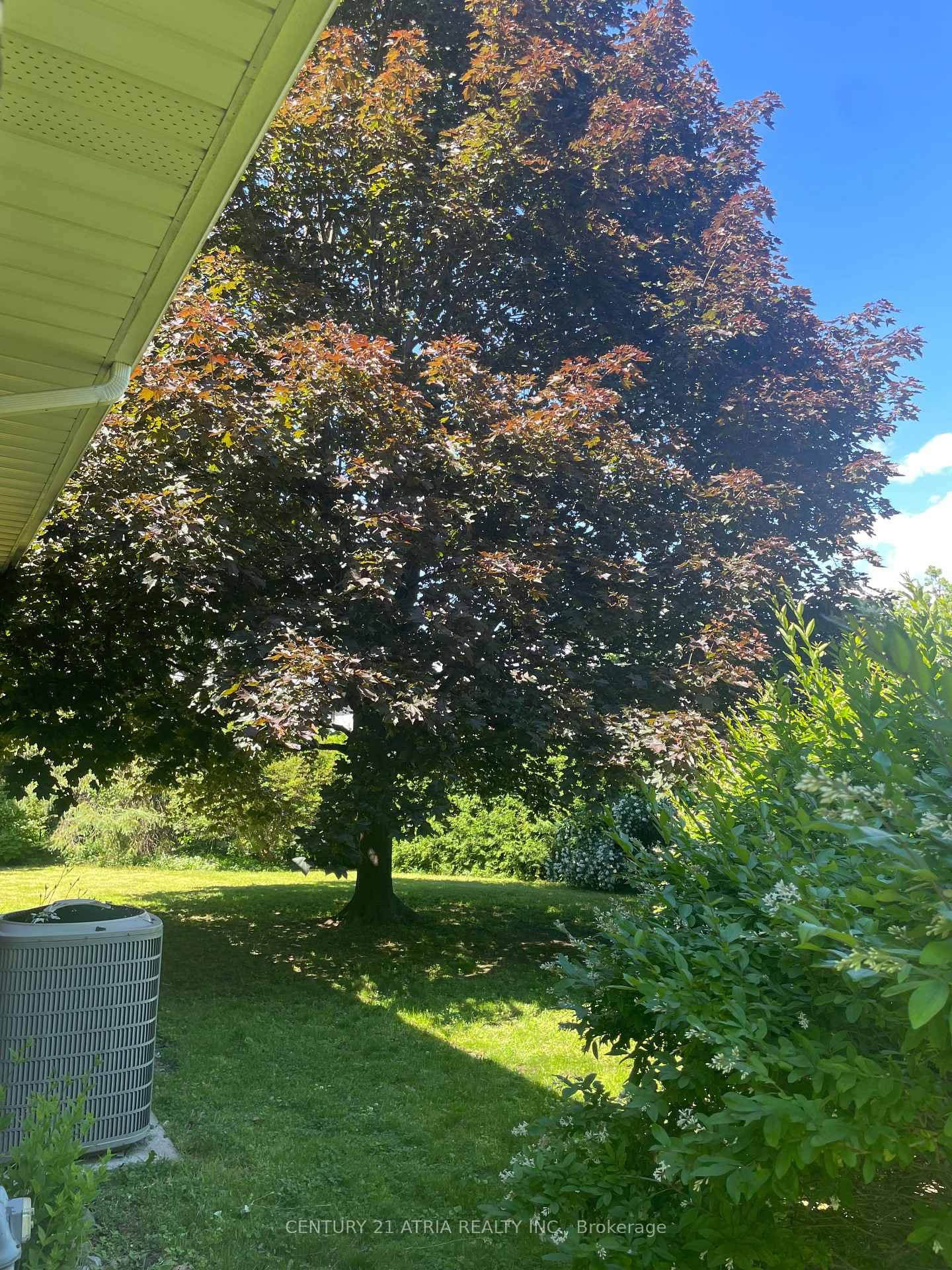 4 Winesap Place photo 31