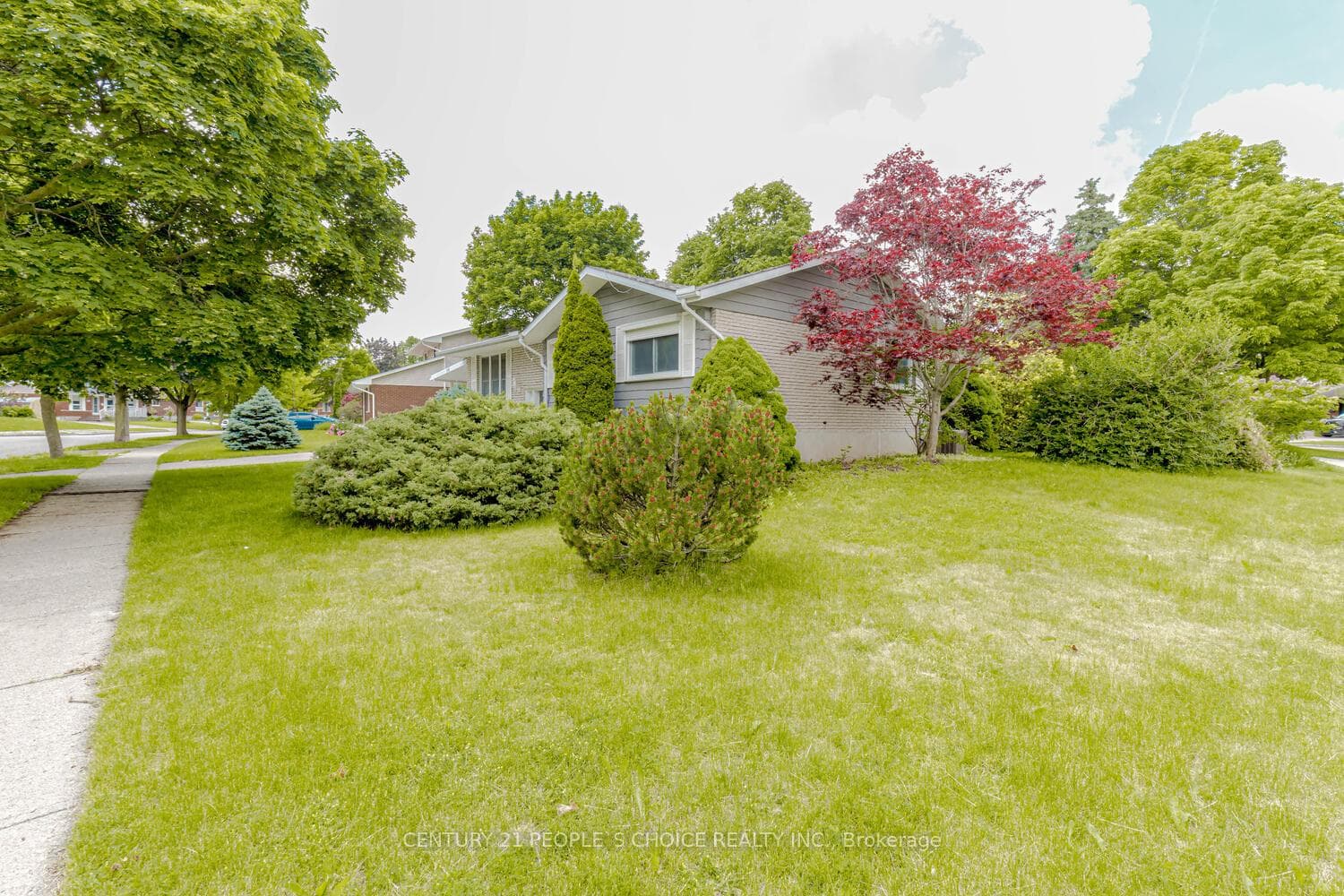 106 Dunsmere Drive photo 40